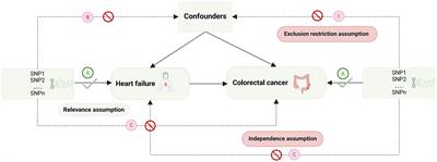 Using multi-omics to explore the genetic causal relationship between colorectal cancer and heart failure in gastrointestinal tumors